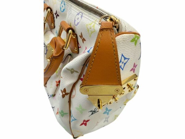 Image_20250412184642 Murakami Multicolor Speedy 30